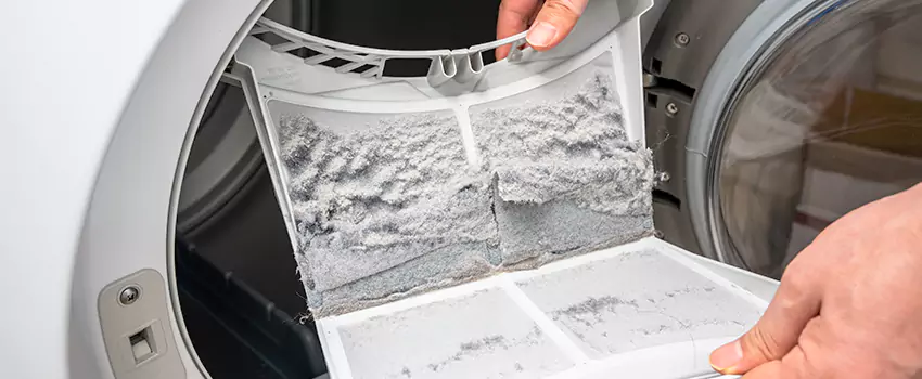 Best Dryer Lint Removal Company in Springfield, Tennessee