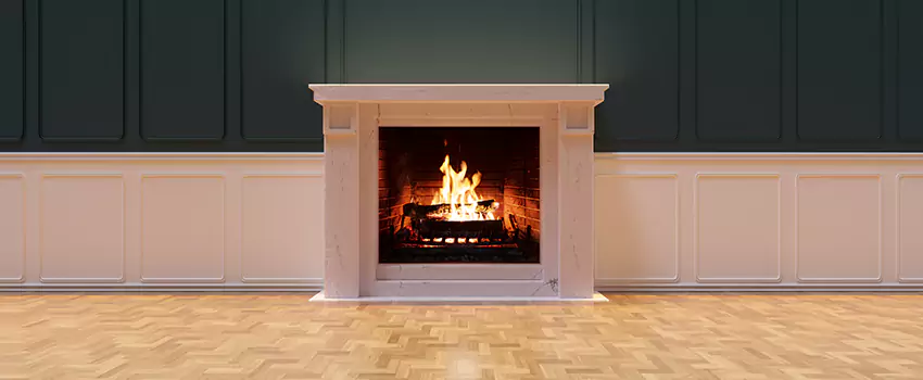 Napoleon Electric Fireplaces Inspection Service in Springfield, Tennessee